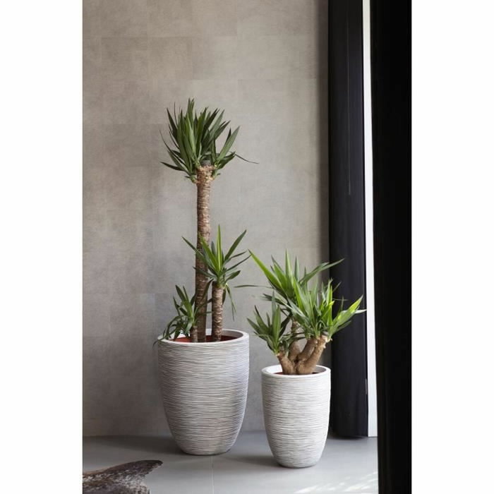 Capi Europe Capi Maceta Nature Rib 36 x 47 cm Marfil KOFI782 424227 Capi Europe Capi Maceta Nature Rib 36 x 47 cm Marfil KOFI782 424227