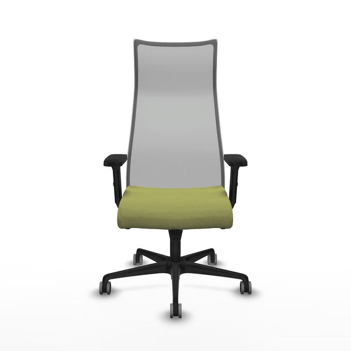 Sillón Albacete con mecanismo Sincro tapizada con Tela color Verde oliva y malla color Gris. Equipado con Base nailon negra, Brazos 2D y Ruedas 65 mm parqué Sillón Albacete con mecanismo Sincro tapizada con Tela color Verde oliva y malla color Gris. Equipado con Base nailon negra, Brazos 2D y Ruedas 65 mm parqué