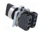 SCHNEIDER ELECTRIC XB4BD33 Interruptor Rotativo Negro 22mm NA x2