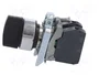 SCHNEIDER ELECTRIC XB4BD33 Interruptor Rotativo Negro 22mm NA x2