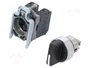 SCHNEIDER ELECTRIC XB4BD33 Interruptor Rotativo Negro 22mm NA x2