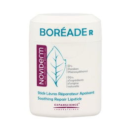 NOVIDERM Boreade R Stick Repar 11 Ml