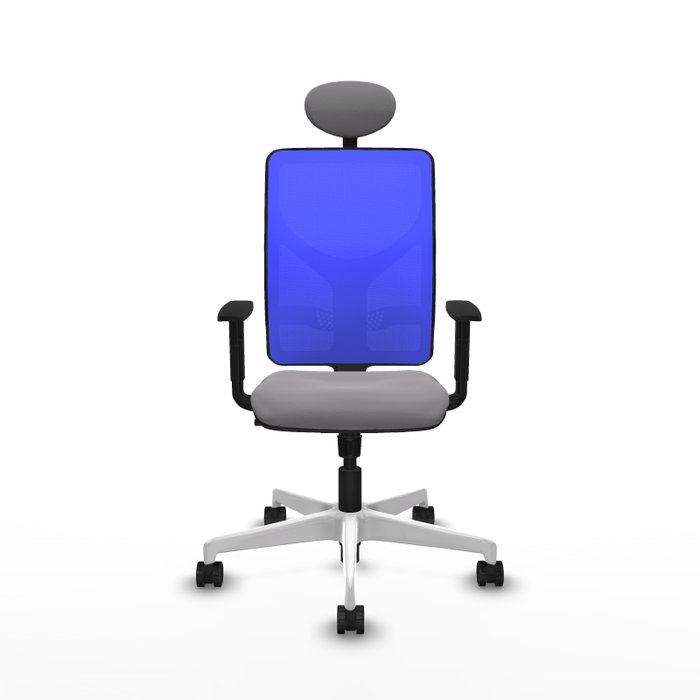 PIQUERAS Y CRESPO Silla de oficina Motilla con mecanismo Sincro, Gris y Azul PIQUERAS Y CRESPO Silla de oficina Motilla con mecanismo Sincro, Gris y Azul