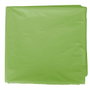 FIXO KIDS Bolsa de Disfraz 65x90 cm Verde Claro (Set de 25)