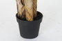 DKD Home Decor Palmera Platanera Colección Banana