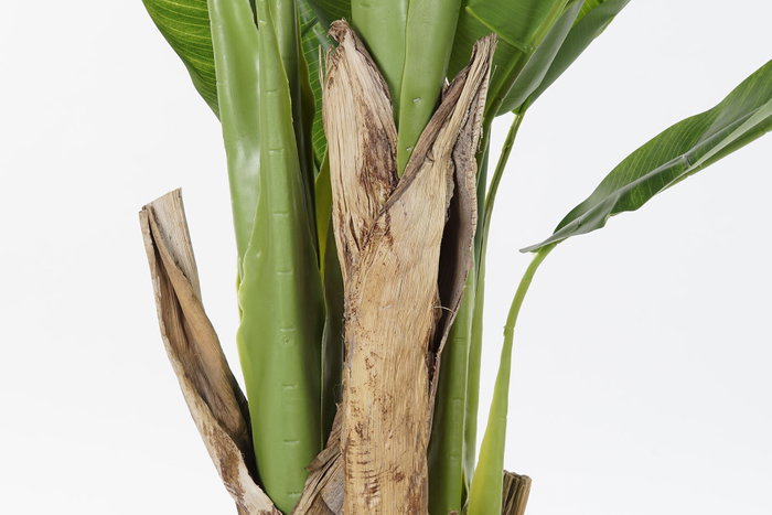 DKD Home Decor Palmera Platanera Colección Banana