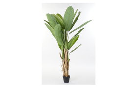 DKD Home Decor Palmera Platanera Colección Banana