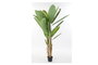 DKD Home Decor Palmera Platanera Colección Banana