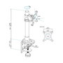 StarTech.com Soporte para Monitor Ajustable hasta 34 pulgadas, 14 kg, Negro/Plata