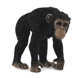 Collecta Chimpancé Hembra Talla M Réplica Detallada 88493 Mundo Natural
