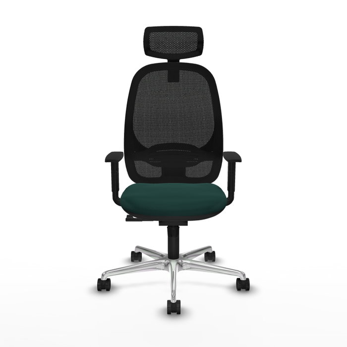 PIQUERAS Y CRESPO Silla de oficina Cilanco con mecanismo Sincro, Verde botella y Negro PIQUERAS Y CRESPO Silla de oficina Cilanco con mecanismo Sincro, Verde botella y Negro