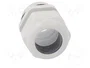 FIBOX Sello aislante M40 de rosca prolongada gris