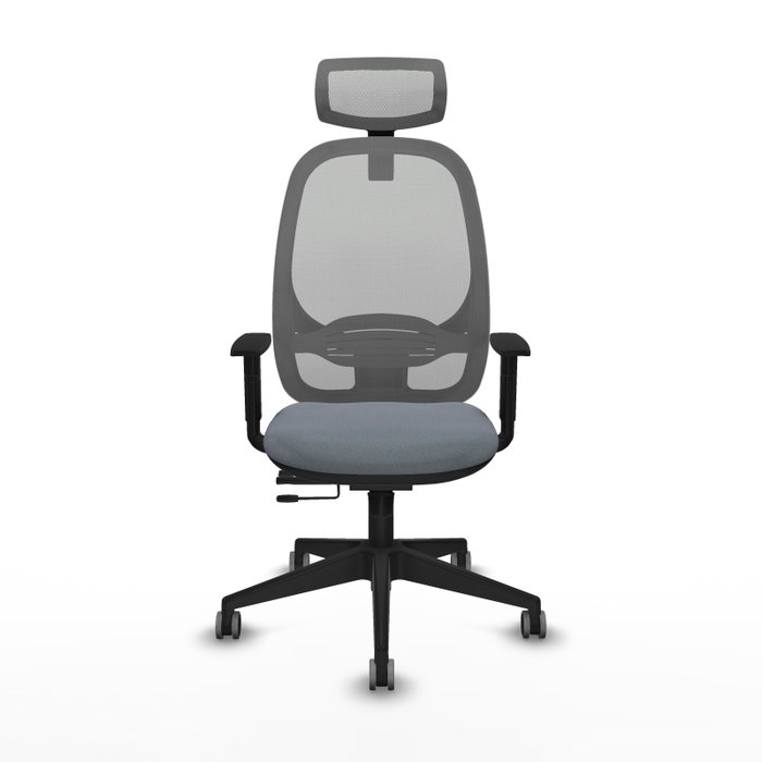 PIQUERAS Y CRESPO Silla de oficina Cilanco con mecanismo Sincro/Traslack, Gris PIQUERAS Y CRESPO Silla de oficina Cilanco con mecanismo Sincro/Traslack, Gris