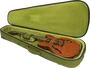 Funda Gator G-Icon para Guitarra Semi Acústica 335 - Verde