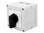 LOVATO ELECTRIC Interruptor de leva 20A 0-1 de 3 polos