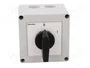 LOVATO ELECTRIC Interruptor de leva 20A 0-1 de 3 polos
