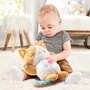 Vtech Gatita Dulce Noche VTE3417765750052 Peluche Musical para Bebé