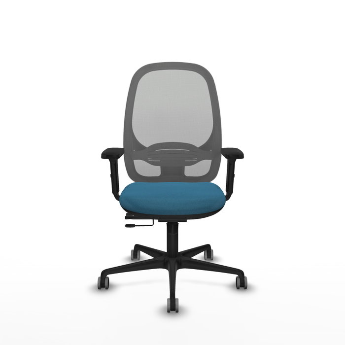 PIQUERAS Y CRESPO Silla de oficina Cilanco con mecanismo Sincro/Traslack Verde petróleo y Gris PIQUERAS Y CRESPO Silla de oficina Cilanco con mecanismo Sincro/Traslack Verde petróleo y Gris