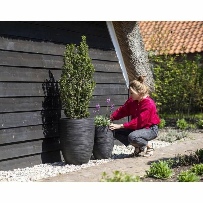 Capi Europe Florero bajo elegante RIB NL Negro