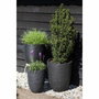 Capi Europe Florero bajo elegante RIB NL Negro
