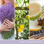 Yankee Candle Signature Lemon Lavender Vela en Frasco Grande 567g