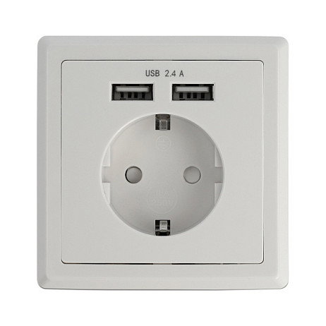 DeLOCK Einbausteckdose con 2 puertos USB Tipo A de carga rápida 2.4A, para pared DeLOCK Einbausteckdose con 2 puertos USB Tipo A de carga rápida 2.4A, para pared