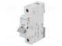 HAGER MCN110E Interruptor magnetotérmico 10A 1P 6kA