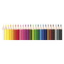 Alpino Lápices de Colores Experience Estuche de 24 Unidades Multicolor