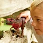 Schleich 4005086720688 Tiranosaurio Rex Rojo Dinosaurios Estatuilla para Niños 5+ Años