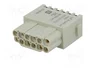 HARTING Han DD Quick-Lock module, hembra, 12 PIN, dorado