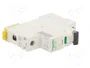 SCHNEIDER ELECTRIC Interruptor magnetotérmico iC60L 1 polo