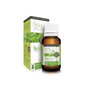 TEGOR Árbol del Té 15ml