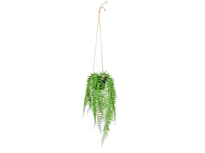 Ibergarden Planta Helecho Colgar Mediano 27x36x17 cm (Set de 12)