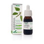 Soria Natural Extracto de Abedul Fórmula XXI 50 ml