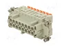 ILME CSHF16N Plantilla de Contacto Hembra HDC 16 Pines