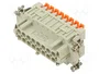 ILME CSHF16N Plantilla de Contacto Hembra HDC 16 Pines