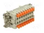 ILME CSHF16N Plantilla de Contacto Hembra HDC 16 Pines