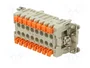 ILME CSHF16N Plantilla de Contacto Hembra HDC 16 Pines