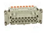 ILME CSHF16N Plantilla de Contacto Hembra HDC 16 Pines