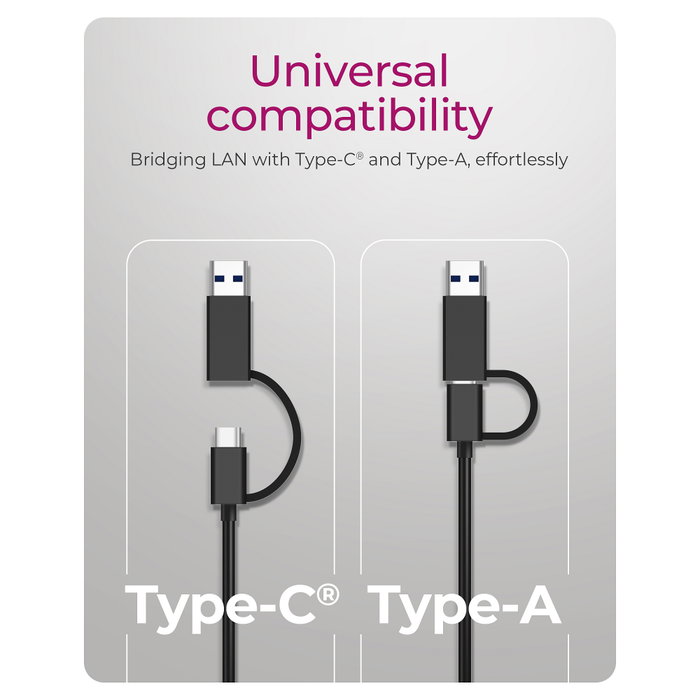 ICY BOX IB-LAN301-C3 Adaptador Ethernet USB 3.2 Gen1 Type-A/Type-C