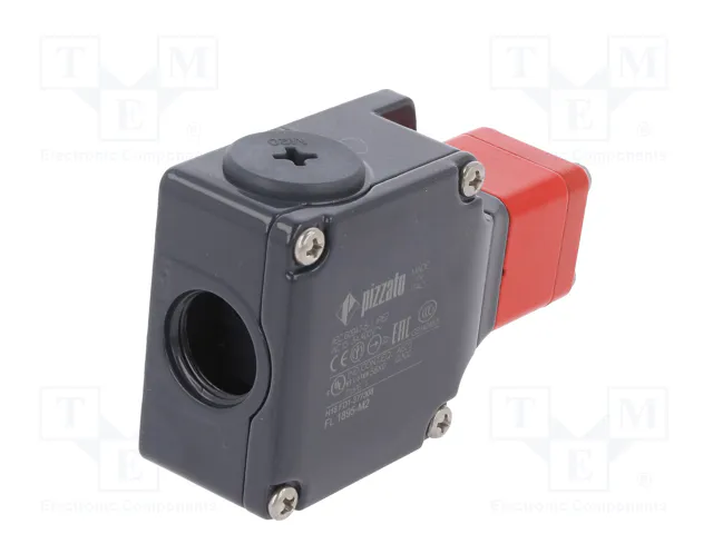 PIZZATO ELETTRICA FL 1895-M2 Interruptor de seguridad de bisagra NC + NA