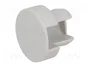 FIBOX Elemento de ventilación IP34