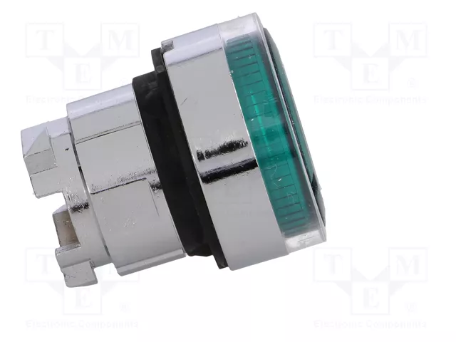 SCHNEIDER ELECTRIC Interruptor de presión de 22mm verde ZBV6