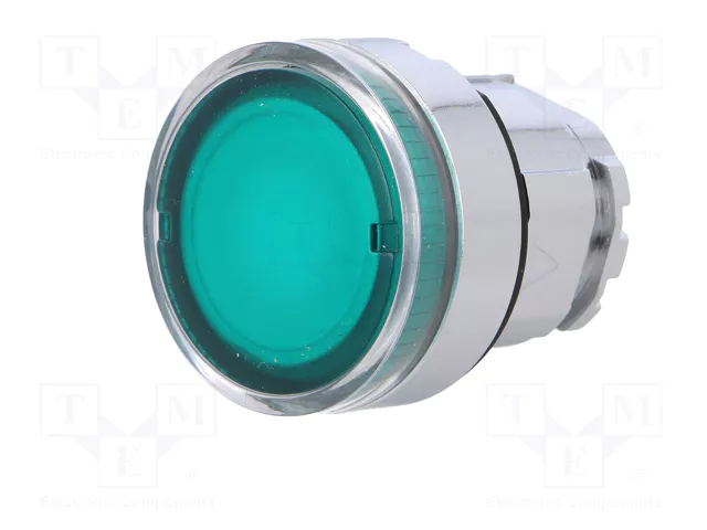 SCHNEIDER ELECTRIC Interruptor de presión de 22mm verde ZBV6