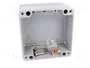 BOPLA EUROMAS Carcasa Universal de Aluminio IP66