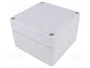 BOPLA EUROMAS Carcasa Universal de Aluminio IP66