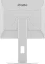 Iiyama ProLite B1980S-W1 Monitor 19 pulgadas Blanco TN con altavoces
