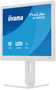 Iiyama ProLite B1980S-W1 Monitor 19 Pulgadas Blanco