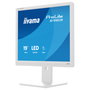 Iiyama ProLite B1980S-W1 Monitor 19 Pulgadas Blanco