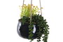 DKD Home Decor Planta de Cerámica Colgante 15x15x70 Surtida de 2 Colores